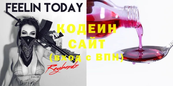 молекула духа Козловка