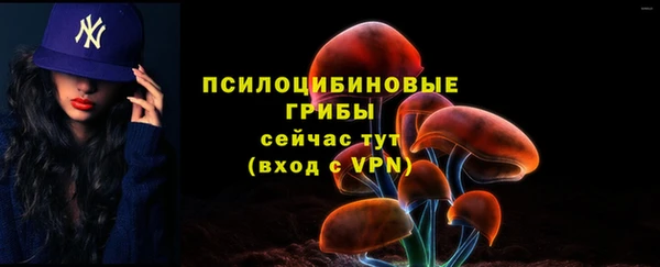 спиды Кодинск