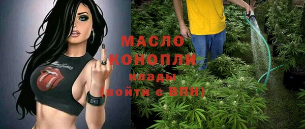 молекула духа Козловка