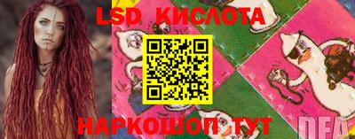 крисы Аргун