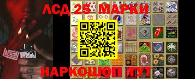 крисы Аргун