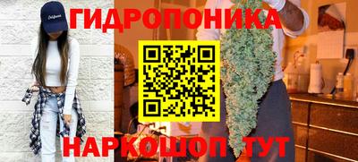 соль ск Балахна