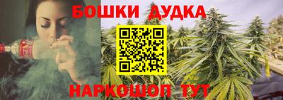 крисы Аргун