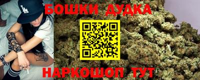 крисы Аргун