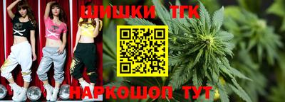 крисы Аргун