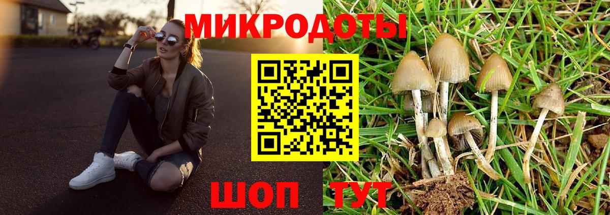 Брянск  Псилоцибиновые грибы GOLDEN TEACHER  Вход с VPN 